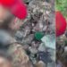 L'arsenale scoperto dai carabinieri in Aspromonte