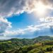 Primavera pronta ad esplodere in Calabria con l'arrivo del bel tempo con sole e temperature elevate
