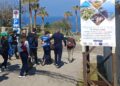 Tante adesioni alla "Passeggiata Blu" di Capo Vaticano
