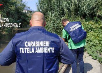 I carabinieri del Nucleo Tutela Ambientale