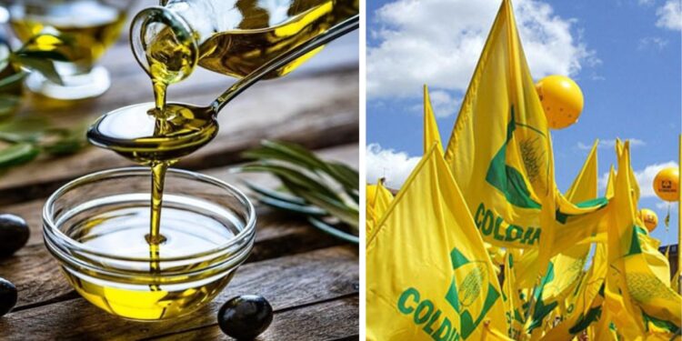 coldiretti olio
