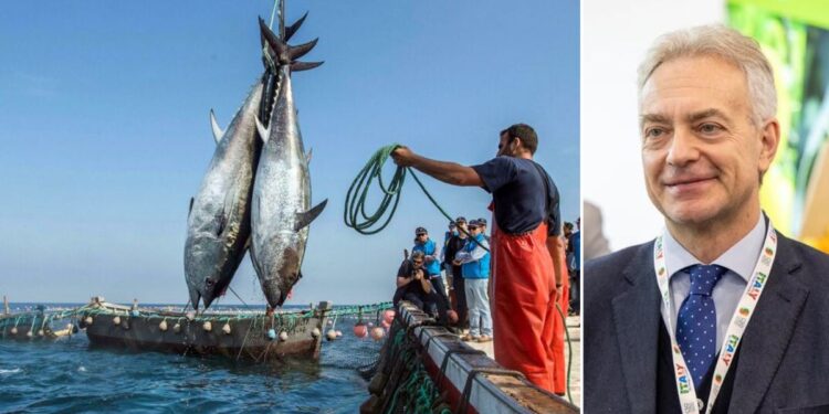 L'assessore Gianluca Gallo ha annunciato novità importanti per la pesca del tonno rosso in Calabria