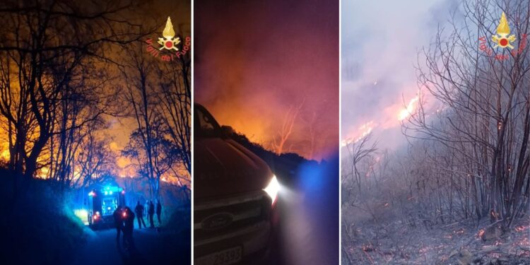 L'incendio sviluppatosi nella provincia di Catanzaro e i vigili del fuoco in azione