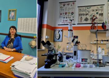Licia Bevilacqua, dirigente del Liceo Scientifico "Giuseppe Berto" di Vibo Valentia