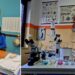 Licia Bevilacqua, dirigente del Liceo Scientifico "Giuseppe Berto" di Vibo Valentia