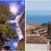 L'albero danneggiato a Pizzo
