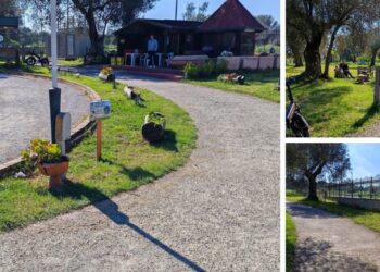 Tre immagini dell'attività di pulizia svolta nel primo anno all'interno del Parco Urbano dall'Associazione Moderata Durant