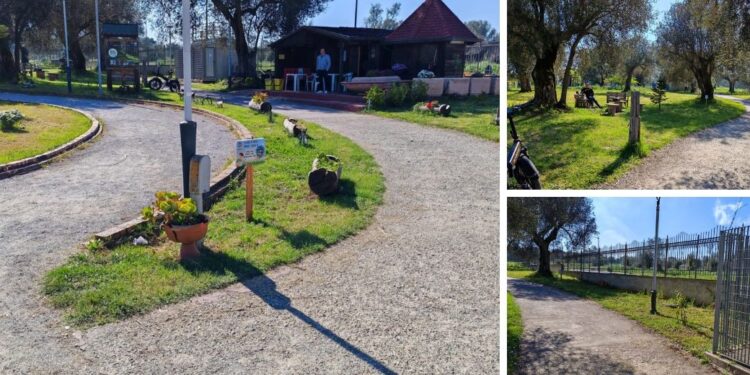 Tre immagini dell'attività di pulizia svolta nel primo anno all'interno del Parco Urbano dall'Associazione Moderata Durant