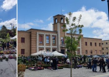 L'edizione 2026 dell'evento ViboFiorArt a Vibo Valentia