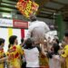 TONNO CALLIPO VOLLEY - PROMOZIONE IN SERIE A3