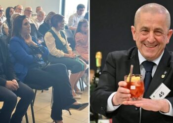 l'iniziativa