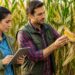 Due agronomi al lavoro