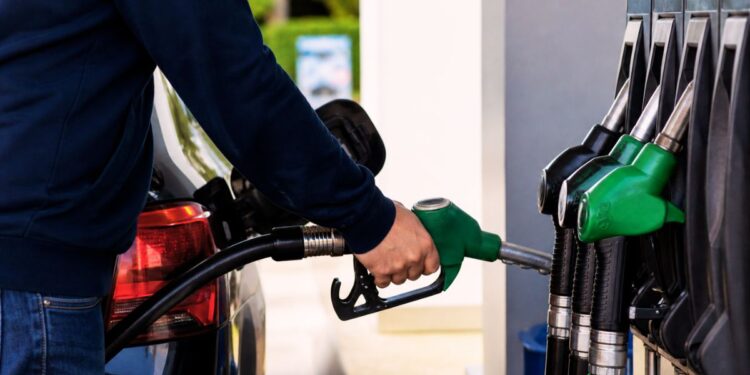 Una persona fa rifornimento di benzina o diesel alla stazione di servizio