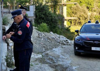 Il sequestro da parte dei carabinieri in Sila