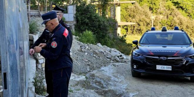 Il sequestro da parte dei carabinieri in Sila