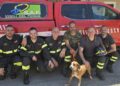 Intervento dei Vigili del Fuoco