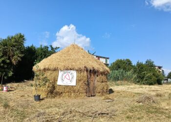 pajjàru