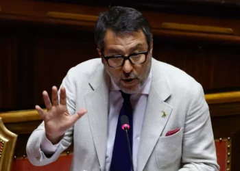 Salvini - Foto Ansa