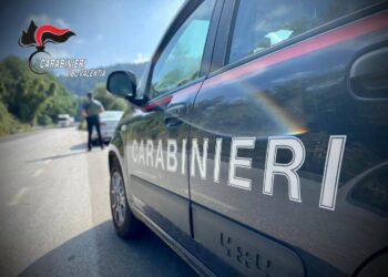 carabinieri vibo