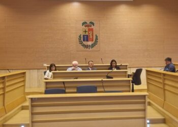 Una fase del consiglio provinciale di Vibo Valentia