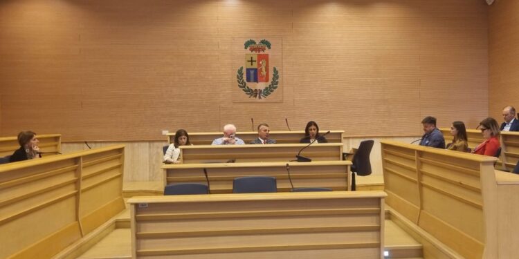 Una fase del consiglio provinciale di Vibo Valentia