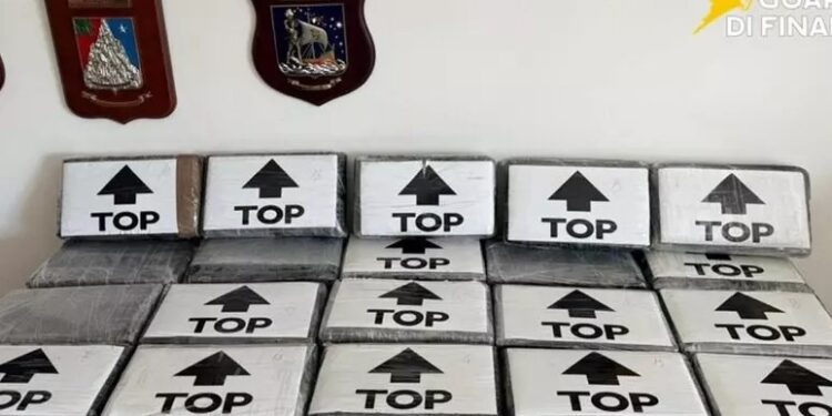 I panetti di droga avvolti da cellophane