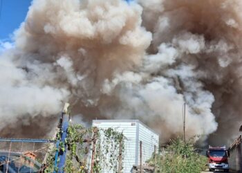 L'incendio nei pressi del canile di Vibo Valentia