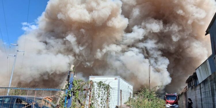 L'incendio nei pressi del canile di Vibo Valentia