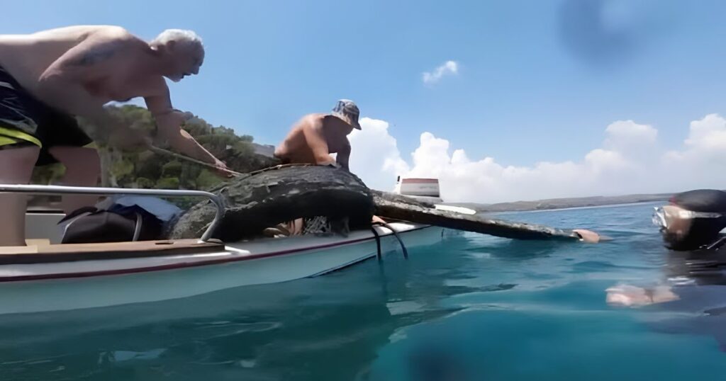 Il recupero dei rifiuti e dei pneumatici nei fondali in Calabria grazie all'attività dei volontari di Legambiente