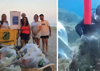 L'attività dei volontari di Legambiente in Calabria