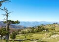Il Parco Nazionale del Pollino