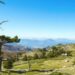 Il Parco Nazionale del Pollino