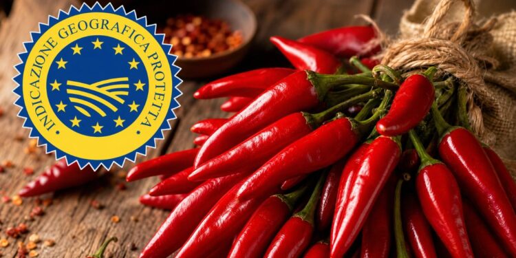 Peperoncino di Calabria Igp