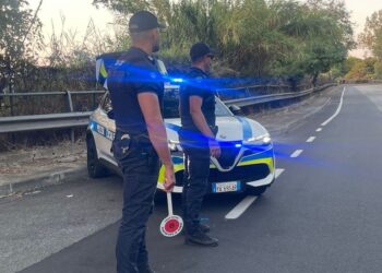 La Polizia Locale di Vibo Valentia