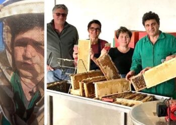 A San Nicola da Crissa il miele del maestro apicoltore Rocco Iori