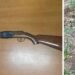 Carabina sequestrata e piantagione droga