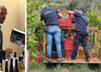 Cantone Benvenuto