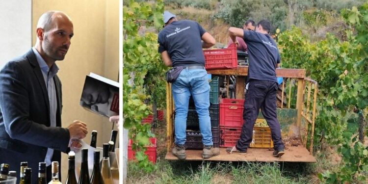 Cantone Benvenuto