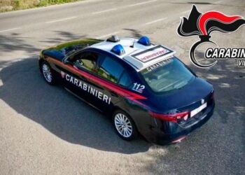 I carabinieri di Vibo Valentia