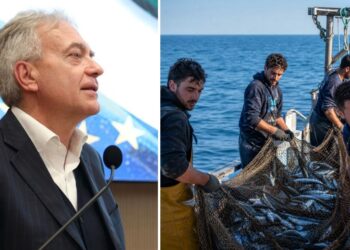 Gianluca Gallo, assessore della Regione Calabria, e dei pescatori impegnati in una battuta di pesca