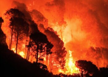 Un incendio boschivo