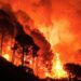 Un incendio boschivo
