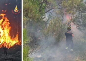 Incendio pineta Curinga