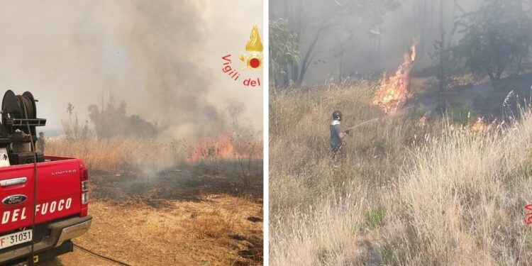 Vasto incendio Lamezia Terme