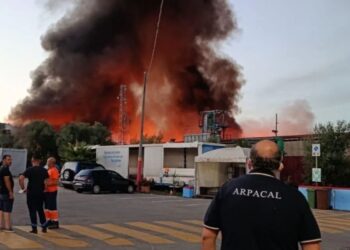 L'incendio sviluppatosi a Palmi