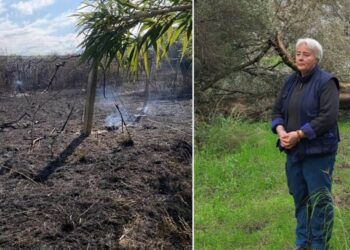 L'intimidazione subita da Patrizia Rodi Morabito in Calabria