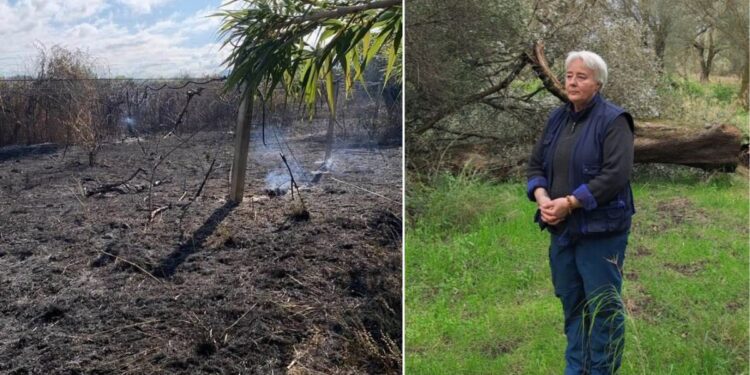 L'intimidazione subita da Patrizia Rodi Morabito in Calabria