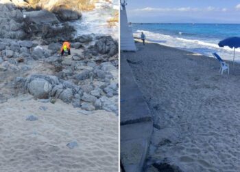 Gli interventi di pulizia sulle spiagge di Ricadi