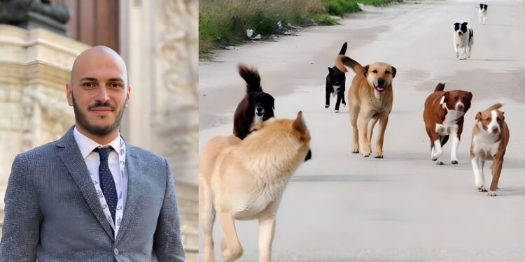 Fabio Signoretta randagismo a Jonadi