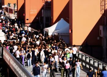 Gli studenti dell'Unical, Università della Calabria